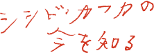 シシド・カフカの今を知る
